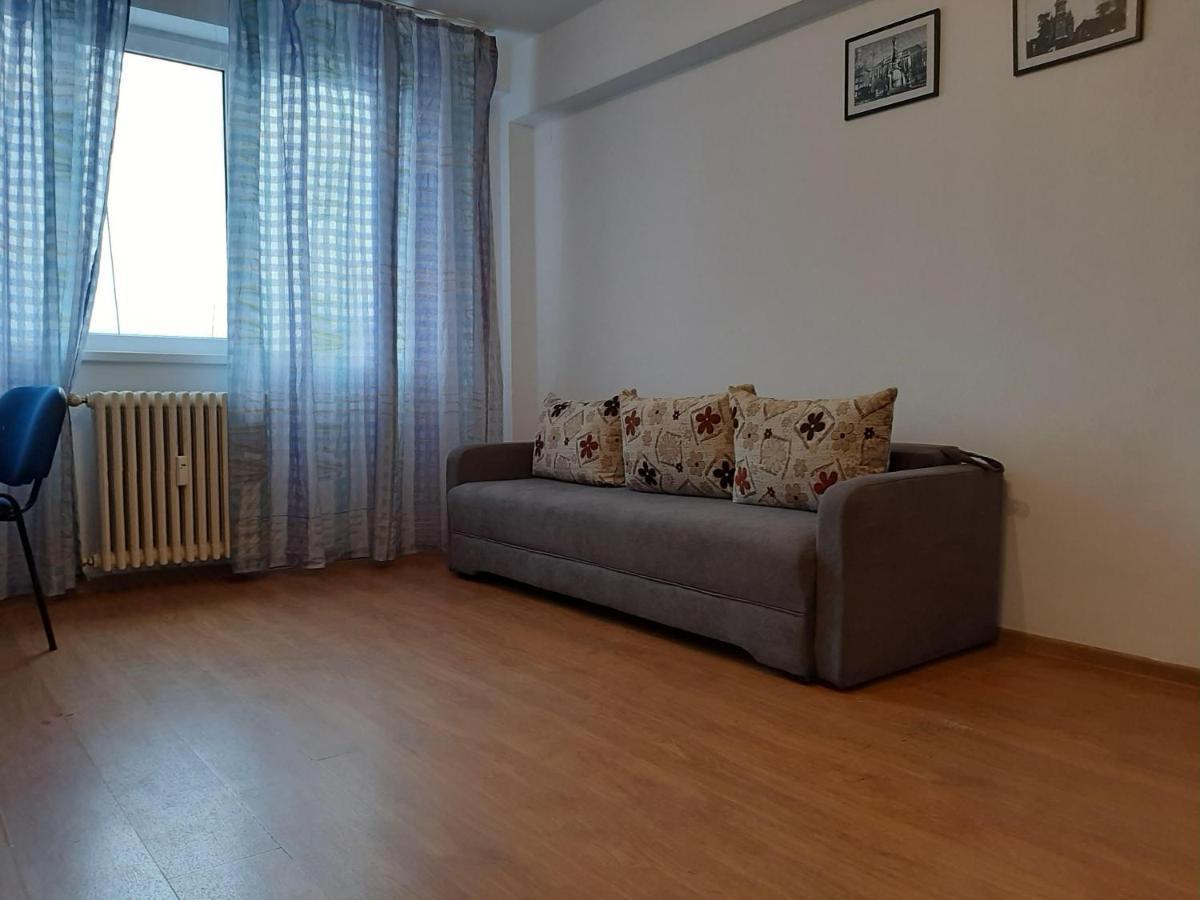 Ultracentral Apartment Bulevard Regele Mihai Nr 10, Sc A Ap 16 Timişoara Exterior foto